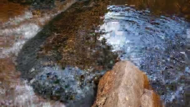 Stream Cold Mountain Water Flows Stones — Vídeo de Stock