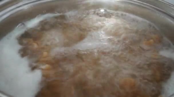 Cocinar Pasta Agua Hirviendo Una Cacerola — Vídeo de stock