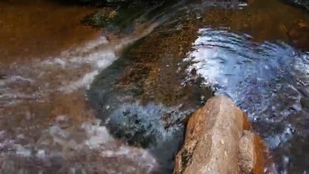 Eau Froide Coule Sur Pierre Dans Les Montagnes — Video