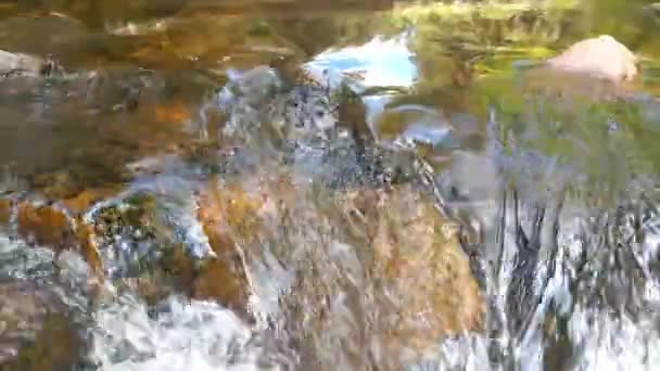 Ein Kleiner Wasserfall Wald Mit Klarem Kaltem Wasser — Stockvideo