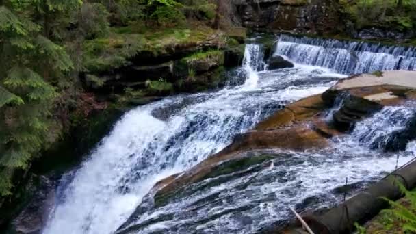 Uma Pequena Cachoeira Uma Área Montanhosa Floresta — Vídeo de Stock