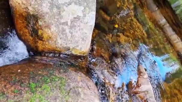 Mały Strumień Leśny Przepływa Między Dwoma Kamieniami — Wideo stockowe