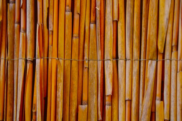 Detailní Záběr Bambusový Plot Parku — Stock fotografie