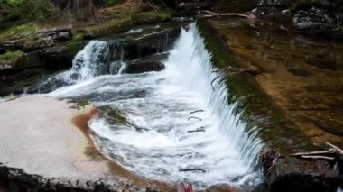 Dağ nehrinden küçük bir orman şelalesi manzarası