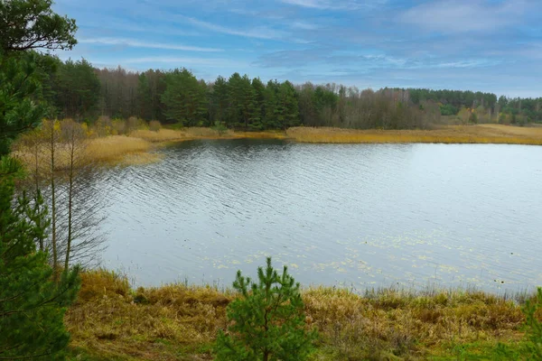 Вид Сверху Небольшое Озеро Рядом Лесом Осенью — стоковое фото