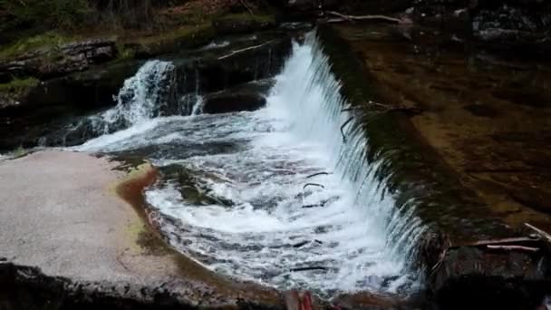 Ein Kleiner Fluss Mit Einem Schönen Wasserfall Fließt Wald — Stockvideo