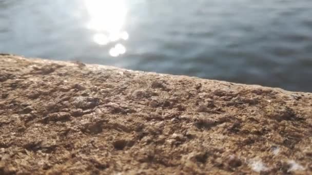 Slunce Krásně Objeví Vodě Pláži Nebo Řece — Stock video