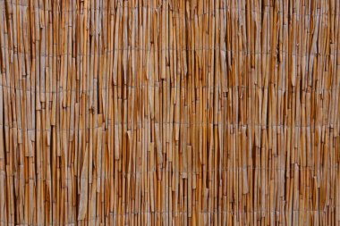 Bomba çitinin dokusunun görüntüsü. arkaplan