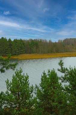 Sonbaharda ormandaki küçük bir göle yukarıdan bak.