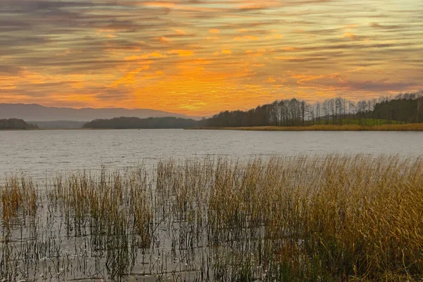 Belo Pôr Sol Brilhante Margem Lago Outono — Fotografia de Stock