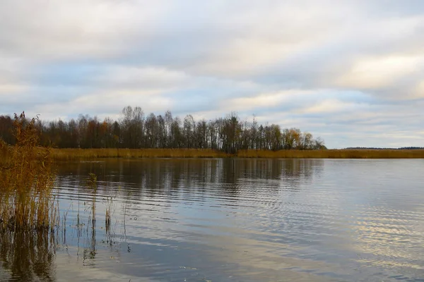 Sonbaharın Sonlarında Bulutlu Bir Günde Göl Manzarası — Stok fotoğraf