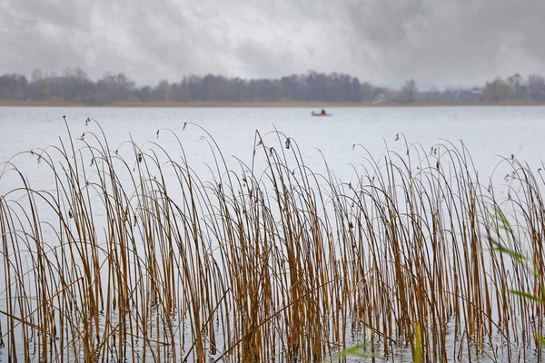 Foggy Manhã Outono Nublado Margem Lago — Fotografia de Stock