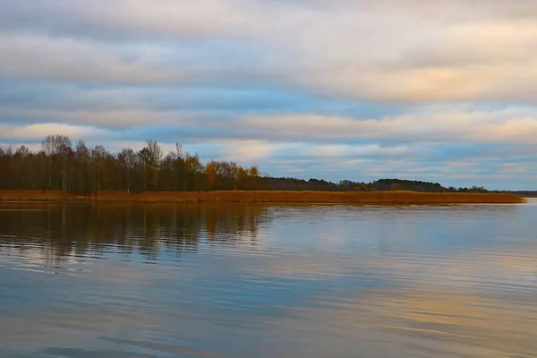 Вид Озеро Жёлтыми Кустами Облачный Осенний День — стоковое фото