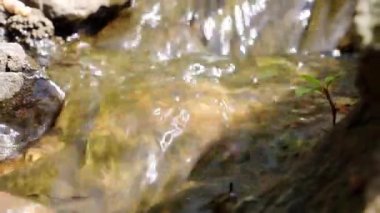 Kayaların üzerinden akan küçük bir akarsu güneşte parıldıyor.