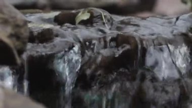 Close-up on the water that flows over the stones