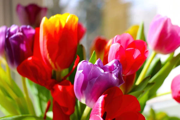 Widok Bukietu Kwitnących Tulipanów Wazonie Gratuluję Świąt Dzień Matki — Zdjęcie stockowe