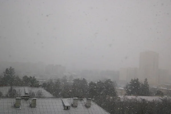 窗外下着大雪 全球气候变化 环境问题 — 图库照片