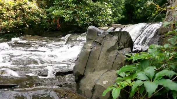 Small River Flows Rocks Park — Stock video