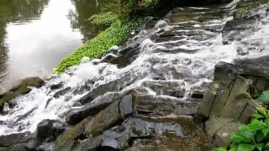 Su, parktaki taşlardan aşağı akıyor.