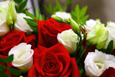 Bir buket taze kırmızı beyaz gül. Tatil için tebrikler.