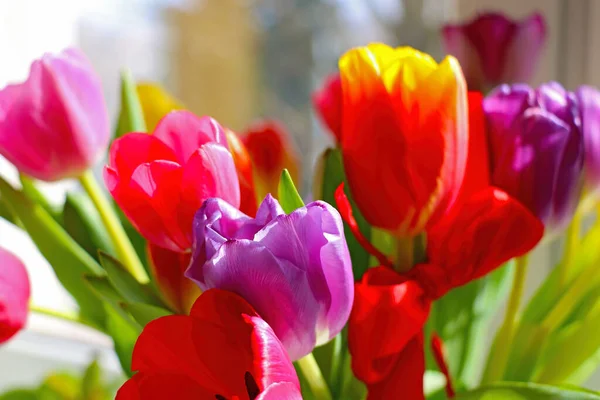 Piękny Bukiet Kolorowych Tulipanów Wazonie — Zdjęcie stockowe