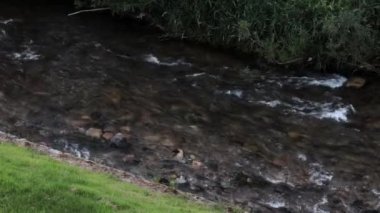 Akşamları küçük bir dağ nehrinin üstünden bak.