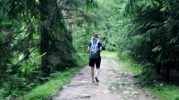 Nieostre Niewyraźne Tło Dziewczyna Spaceruje Przez Las Górzystej Okolicy Podróżnik — Wideo stockowe