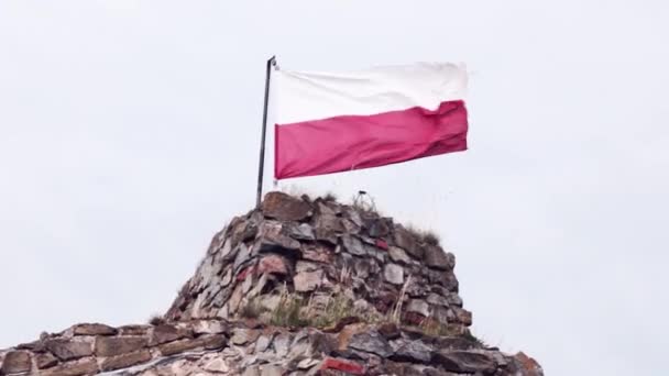 폴란드의 국기는 바람에 하늘을 배경으로 — 비디오