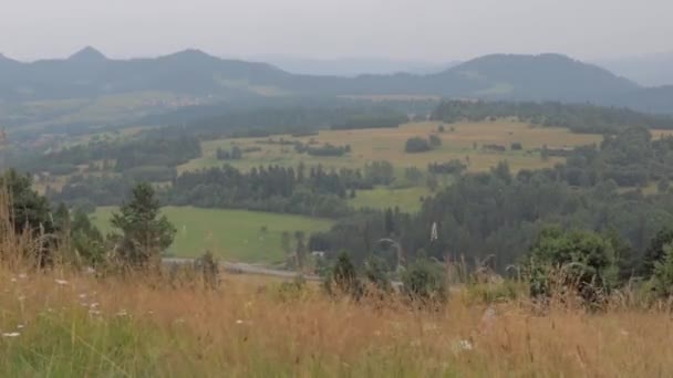 Vedere Pitorească Munților Într Dimineață Toamnă Cețoasă — Videoclip de stoc