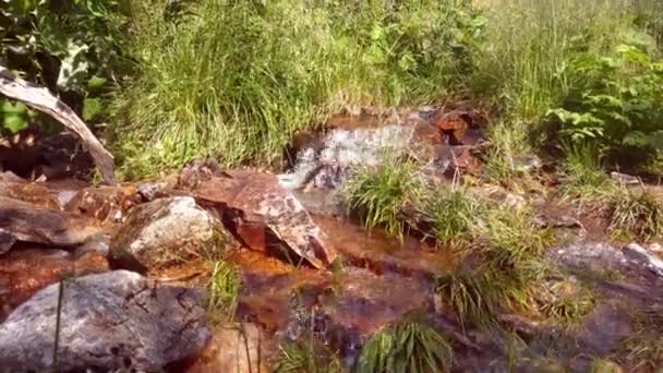 Las Rocas Corre Agua Fría Limpia Parque — Vídeo de stock