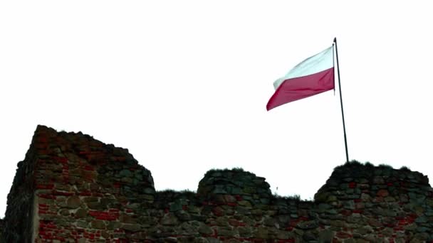 Vue du drapeau de la Pologne se développant dans le vent. — Video