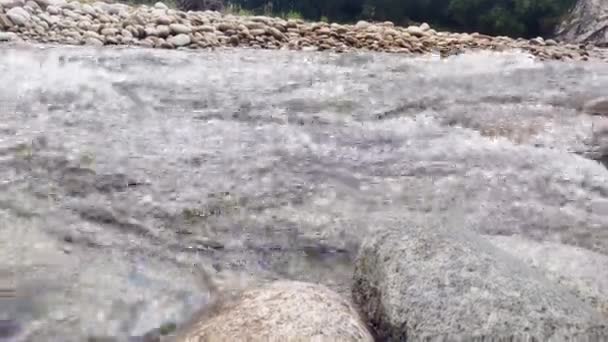 Rivière de montagne bruyante rapide avec eau froide claire. — Video