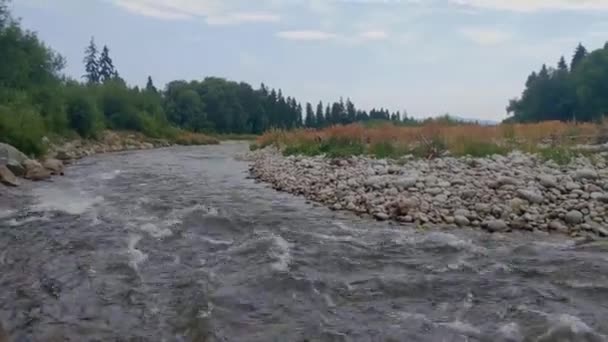 Hermosa Vista Pintoresca Del Río Montaña Otoño — Vídeos de Stock