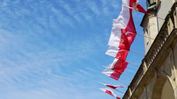 건물에서 폴란드의 국기가 하늘을 배경으로 — 비디오