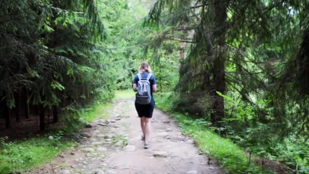 Мандрівник Проходить Через Ліс Гірській Місцевості Відпочинок — стокове відео