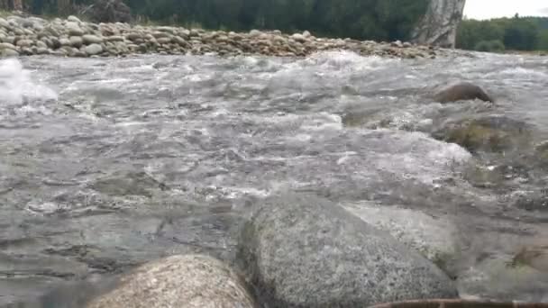 曇りの秋の日に山の川のスローモーション撮影 — ストック動画