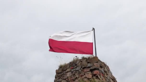 雲の多い空を背景に ポーランドの国旗が風に乗って展開する — ストック動画