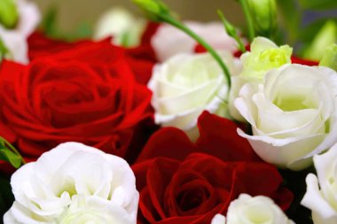 Tebrikler için bir buket taze kırmızı beyaz gül.