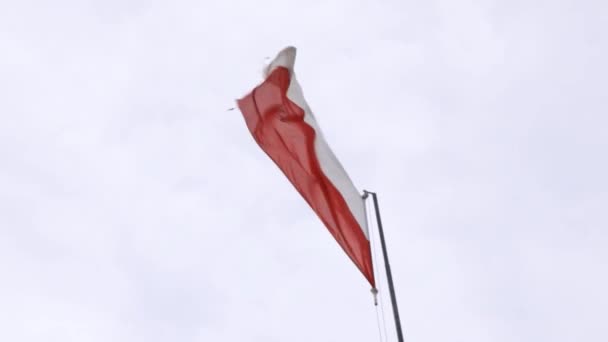 하늘을 배경으로 바람에 흔들리는 폴란드의 — 비디오