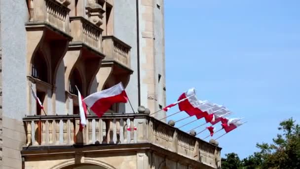 Día Soleado Banderas Polonia Dividen Edificio — Vídeos de Stock