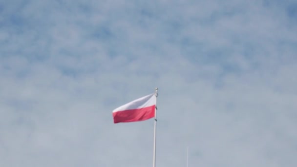 Uit focus, wazige achtergrond, de vlag van Polen ontwikkelt zich in de wind tegen de blauwe lucht. — Stockvideo