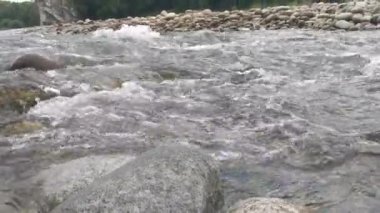 Sonbaharda gürültülü hızlı dağ nehri manzarası