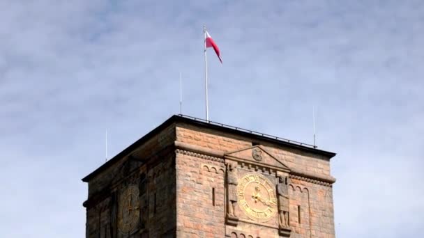 Poznan Polen Augusti 2021 Polens Flagga Seglar Den Gamla Byggnaden — Stockvideo