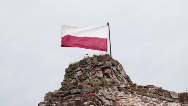 Bandera Polonia Desarrolla Viento Sobre Fondo Cielo Nublado — Vídeos de Stock