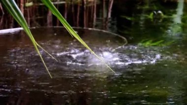 Su deposunun dibinden kabarcıklar yükselecek.