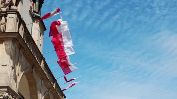 Building Blue Sky Flags Poland Develop — Stock Video