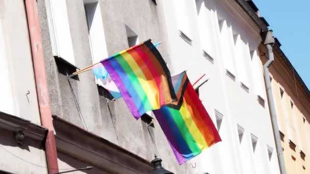 Lgbt同志骄傲旗 女同性恋 男同性恋 双性恋 变性者 同性恋 自豪游行街头庆祝活动的概念 — 图库视频影像