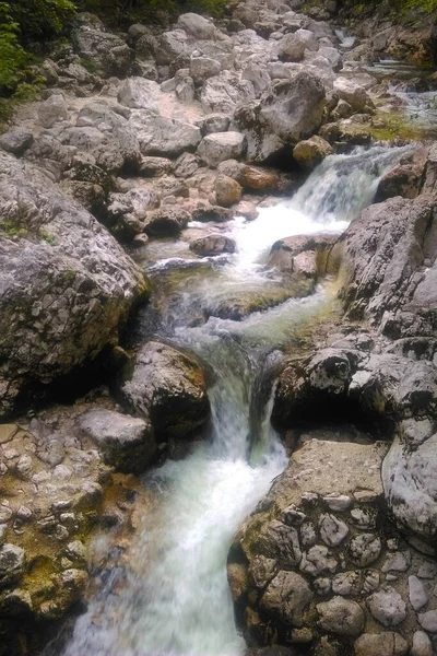 Cold Clean Water Flows Rocks Mountains — Foto de Stock