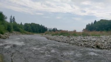 Bulutlu bir sonbahar gününde gürültülü bir dağ nehri.