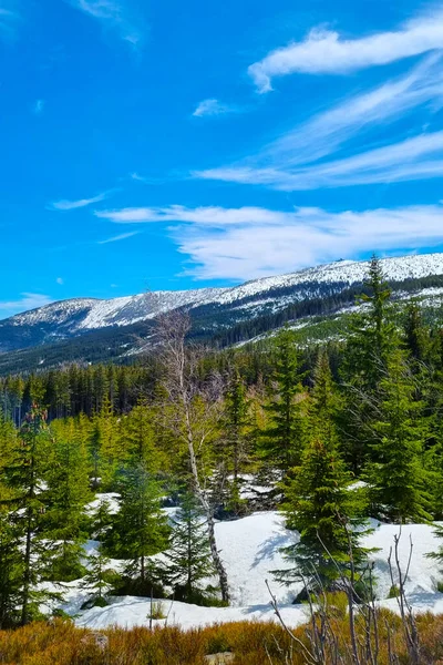 山中白雪覆盖的山峰风景如画 — 图库照片